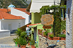 JustGreece.com Mavratzei Samos | Greece | Photo 8 - Foto van JustGreece.com