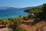 JustGreece.com Mourtia Samos | Greece | Photo 2 - Foto van JustGreece.com