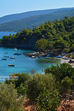 Mourtia Samos | Greece | Photo 6 - Photo JustGreece.com