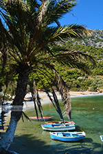 JustGreece.com Mourtia Samos | Greece | Photo 11 - Foto van JustGreece.com