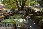 JustGreece.com Mytilinioi Samos | Greece | Photo 3 - Foto van JustGreece.com