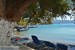 JustGreece.com Posidonio Samos | Greece | Photo 20 - Foto van JustGreece.com