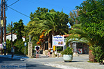 JustGreece.com Potokaki Samos | Greece | Photo 21 - Foto van JustGreece.com