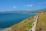 JustGreece.com Pythagorion Samos | Greece | Photo 00024 - Foto van JustGreece.com