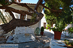 JustGreece.com Pythagorion Samos | Greece | Photo 00089 - Foto van JustGreece.com