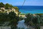 beach Tsamadou Kokkari Samos | Greece Photo 9 - Photo JustGreece.com