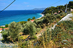 beach Tsamadou Kokkari Samos | Greece Photo 14 - Photo JustGreece.com