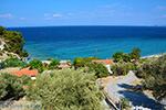 beach Tsamadou Kokkari Samos | Greece Photo 16 - Photo JustGreece.com