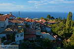 JustGreece.com Vourliotes Samos | Greece | Photo 4 - Foto van JustGreece.com