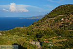 Vourliotes Samos | Greece | Photo 21 - Foto van JustGreece.com