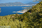 JustGreece.com Vourliotes Samos | Greece | Photo 23 - Foto van JustGreece.com