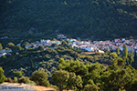 JustGreece.com Vourliotes Samos | Greece | Photo 28 - Foto van JustGreece.com