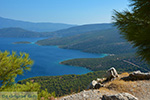 JustGreece.com Bay Mourtia Samos | Greece | Photo 4 - Foto van JustGreece.com