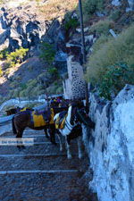 Fira Santorini | Cyclades Greece  | Photo 0063 - Photo JustGreece.com