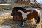 Somwewhere on Santorini island | Cyclades Greece | Photo 16 - Photo JustGreece.com