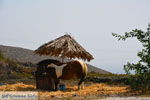 Somwewhere on Santorini island | Cyclades Greece | Photo 20 - Photo JustGreece.com