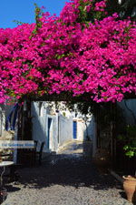 JustGreece.com Megalochori Santorini | Cyclades Greece | Photo 12 - Foto van JustGreece.com