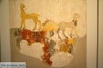 Museum Fira Santorini | Cyclades Greece | Photo 28 - Photo JustGreece.com