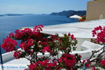 Oia Santorini | Cyclades Greece | Photo 1028 - Photo JustGreece.com