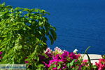 JustGreece.com Oia Santorini | Cyclades Greece | Photo 1082 - Foto van JustGreece.com