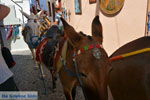 Oia Santorini | Cyclades Greece | Photo 1174 - Photo JustGreece.com