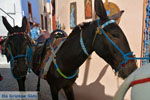 JustGreece.com Oia Santorini | Cyclades Greece | Photo 1175 - Foto van JustGreece.com