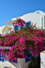 JustGreece.com Oia Santorini | Cyclades Greece | Photo 1191 - Foto van JustGreece.com