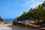 JustGreece.com Ancient Thira Santorini | Cyclades Greece | Photo 25 - Foto van JustGreece.com