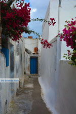 JustGreece.com Pyrgos Santorini | Cyclades Greece | Photo 142 - Foto van JustGreece.com