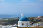 JustGreece.com Pyrgos Santorini | Cyclades Greece | Photo 160 - Foto van JustGreece.com