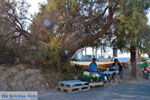 Vlychada Santorini | Cyclades Greece | Photo 316 - Photo JustGreece.com