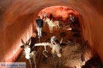 Wine Museum Santorini | Cyclades Greece | Photo 331 - Photo JustGreece.com
