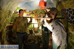Wine Museum Santorini | Cyclades Greece | Photo 335 - Photo JustGreece.com