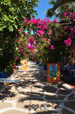 JustGreece.com Sissi | Lassithi Crete | Photo Greece  nr 37 - Foto van JustGreece.com