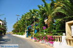 JustGreece.com Sissi | Lassithi Crete | Photo Greece  nr 58 - Foto van JustGreece.com