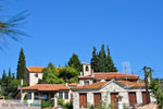 Nikiti and Aghios Nikitas Sithonia | Halkidiki | Greece  Photo 25 - Photo JustGreece.com