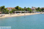 Nikiti and Aghios Nikitas Sithonia | Halkidiki | Greece  Photo 38 - Photo JustGreece.com