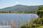 JustGreece.com Beaches and nature near Vourvourou | Sithonia Halkidiki | Greece  Photo 6 - Foto van JustGreece.com