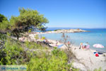 JustGreece.com Beaches and nature near Vourvourou | Sithonia Halkidiki | Greece  Photo 14 - Foto van JustGreece.com