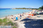 JustGreece.com Beaches and nature near Vourvourou | Sithonia Halkidiki | Greece  Photo 15 - Foto van JustGreece.com