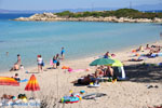 JustGreece.com Beaches and nature near Vourvourou | Sithonia Halkidiki | Greece  Photo 16 - Foto van JustGreece.com