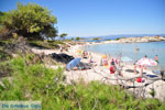 JustGreece.com Beaches and nature near Vourvourou | Sithonia Halkidiki | Greece  Photo 19 - Foto van JustGreece.com