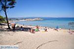 JustGreece.com Beaches and nature near Vourvourou | Sithonia Halkidiki | Greece  Photo 20 - Foto van JustGreece.com