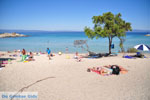 JustGreece.com Beaches and nature near Vourvourou | Sithonia Halkidiki | Greece  Photo 21 - Foto van JustGreece.com