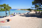 JustGreece.com Beaches and nature near Vourvourou | Sithonia Halkidiki | Greece  Photo 22 - Foto van JustGreece.com