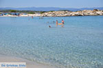 JustGreece.com Beaches and nature near Vourvourou | Sithonia Halkidiki | Greece  Photo 24 - Foto van JustGreece.com
