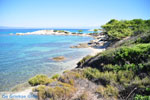 JustGreece.com Beaches and nature near Vourvourou | Sithonia Halkidiki | Greece  Photo 26 - Foto van JustGreece.com
