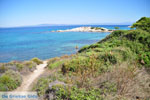 JustGreece.com Beaches and nature near Vourvourou | Sithonia Halkidiki | Greece  Photo 31 - Foto van JustGreece.com