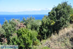 JustGreece.com Beaches and nature near Vourvourou | Sithonia Halkidiki | Greece  Photo 34 - Foto van JustGreece.com