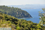 JustGreece.com Beaches and nature near Vourvourou | Sithonia Halkidiki | Greece  Photo 35 - Foto van JustGreece.com